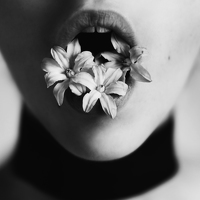 Портрет фотографа (аватар) Egle Ellerman