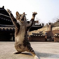 Портрет фотографа (аватар) Small