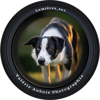 Портрет фотографа (аватар) Valérie Aubois