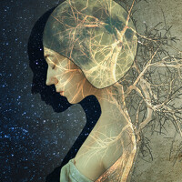 Портрет фотографа (аватар) Янтарная Елена (Yantarnaya Elena)