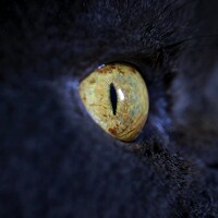 Портрет фотографа (аватар) Татьяна Полоцкая