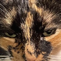 Портрет фотографа (аватар) 7358