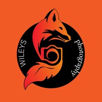 Портрет фотографа (аватар) Wileys (Yaroslav Semyonov)