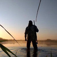 Портрет фотографа (аватар) Pavel Vorobev