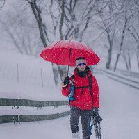 Портрет фотографа (аватар) NGUYEN NGOC SON