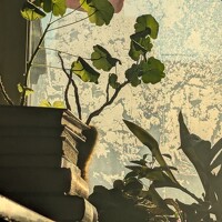 Портрет фотографа (аватар) Zolotavina Zolotavina (Zolotavina Hope)