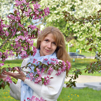 Фотография Алла Кожевникова (Alla Kozhevnikova) Портрет фотографа (аватар) Алла Кожевникова (Alla Kozhevnikova)