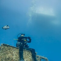 Портрет фотографа (аватар) KONSTANTINOS EFSTATHIOU