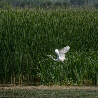 Портрет фотографа (аватар) Ирина Сеимова (Irina Seimova)