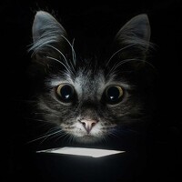 Портрет фотографа (аватар) Ольга Рыкова (Olga Rykova)