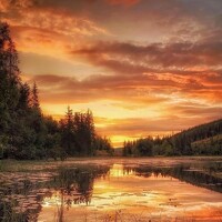 Портрет фотографа (аватар) Александр Соколов