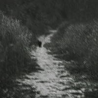 Портрет фотографа (аватар) Моторина Арина (Arina Motorina)