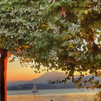 Портрет фотографа (аватар) Olesya MIKINA