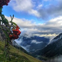 Портрет фотографа (аватар) Atif Ali Khan