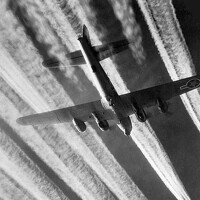 Портрет фотографа (аватар) Kolton