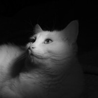 Бурикова Екатерина - фотограф