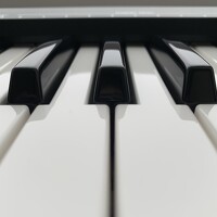 Портрет фотографа (аватар) Atropa Belladonna