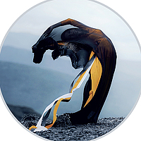 Портрет фотографа (аватар) Павел Мюльбах (Pavel Myulbah)