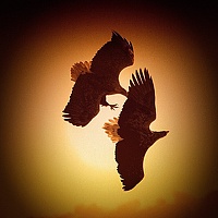 Портрет фотографа (аватар) Олег Знобищев (Oleg Znobichev)