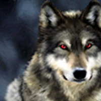 Портрет фотографа (аватар) Михаил Волков (Mikhail Volkov)