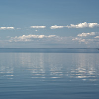 Портрет фотографа (аватар) Фирулина Тамара