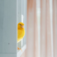 Портрет фотографа (аватар) Hayk Mkrtchyan (Հայկ Մկրտչյան)