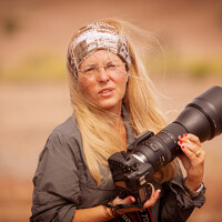 Портрет фотографа (аватар) Silvia Ribeiro (Silvia Maria Faneca Ribeiro)