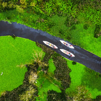 Портрет фотографа (аватар) Phuong Nguyen (Thanh Phuong Nguyen)