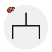 Портрет фотографа (аватар) Вероника Долгих (Veronika Dolgikh)