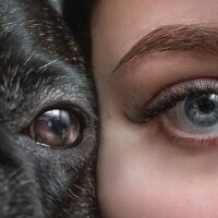 Портрет фотографа (аватар) Юлия Кирилюс (Yuliia Kyrylius)