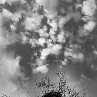 Портрет фотографа (аватар) Lipika Debnath