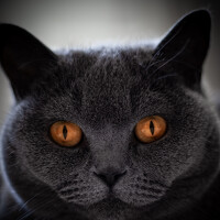 Портрет фотографа (аватар) Евгений Патенко