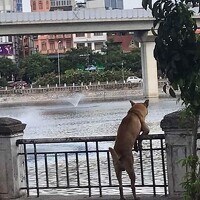 Фотография JetDo Портрет фотографа (аватар) JetDo