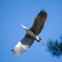 Портрет фотографа (аватар) Алексей (Alexey Anatolyevich)