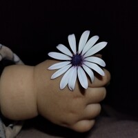 Портрет фотографа (аватар) Flower Ima