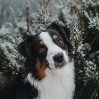 Портрет фотографа (аватар) Худолей Анна (Anna Khudoley)