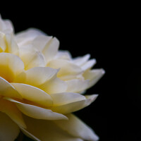 Портрет фотографа (аватар) Radovan Dziak