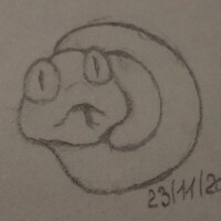 Портрет фотографа (аватар) Анастасия Музыка (Anastasiya Muzika)