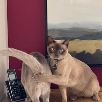 Портрет фотографа (аватар) Fons Fabriz (Faberfonsy)