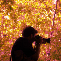 Портрет фотографа (аватар) Arvin Ebadi (آروین عبادی)