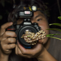 Портрет фотографа (аватар) Phuong Nguyen