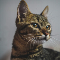 Фотография Lương Trần (Tran Duc Luong) Портрет фотографа (аватар) Lương Trần (Tran Duc Luong)