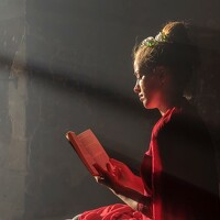 Портрет фотографа (аватар) MOJDEH NOROUZI