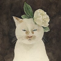 Портрет фотографа (аватар) Мария Го