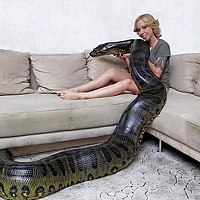 Портрет фотографа (аватар) Шурик Шурик (Alex)