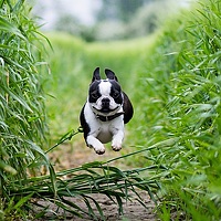 Портрет фотографа (аватар) Ольга Филатова (Olga Philatova)