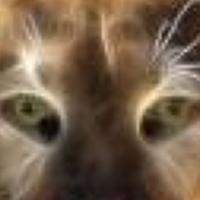 Портрет фотографа (аватар) Андрей Кузнецов (Andrey Kuznetsov)