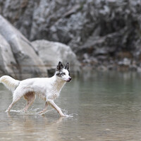 Портрет фотографа (аватар) GRISELDA FERNANDEZ