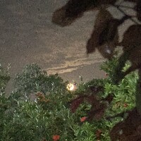 Портрет фотографа (аватар) Sulfur