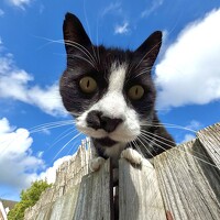 Портрет фотографа (аватар) julia Lia